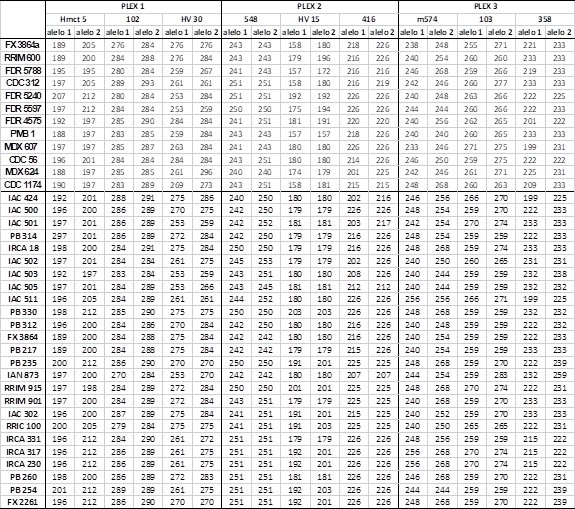 Peso de alelos de 12 clones provenientes de Colombia y 25 de Brasil para las regiones microsatelites Hmct5, 102, HV 30, 548, HV 15, 416, m574, 103 y 358.