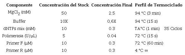 Composición del máster mix y condiciones de PCR para amplificación punto final de microsatélites implementados.