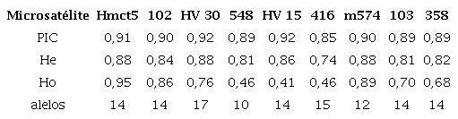 Valores contenidos de información polimórfica (PIC), heterocigosidad esperada (He) y heterocigosidad observada (Ho) a partir de la amplificación con los loci Hmct5, 102, HV 30, 548, HV 15, 416, m574, 103 y 358 del ADN de los clones evaluados.