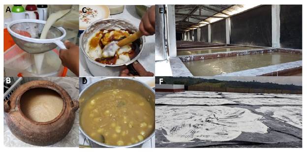 Productos fermentados artesanalmente. A y B filtración y fermentación de Masato de arroz. C y D. mezcla de almíbar y Champús y E y F. fermentación y secado de AYA.