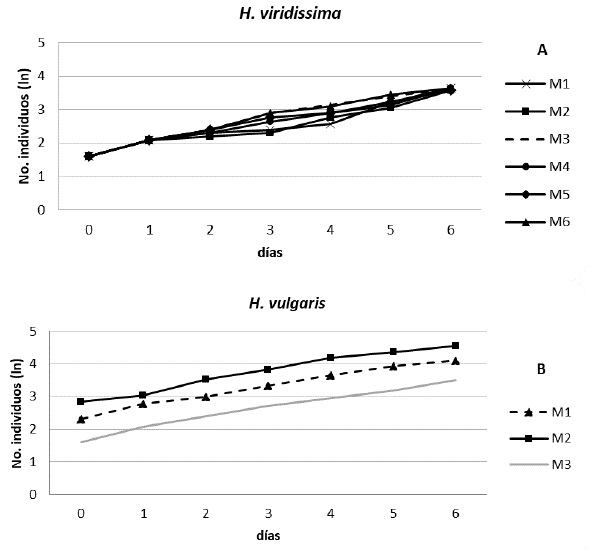 Curvas de crecimiento poblacional: A)H. viridissima (n=6) y B)H. vulgaris (n=3) para diferentes meses (M).