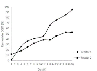 Porcentaje de disminución de DQO en incubación con Pseudomonas sp. y Rhizobium trifolii.
