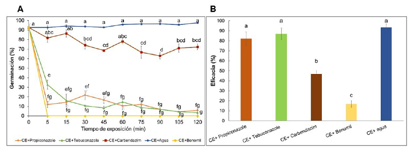 Efecto de fungicidas sobre la germinación de los conidios de Bv062 (A) y sobre la actividad biológica frente a larvas de D. saccharalis (B).