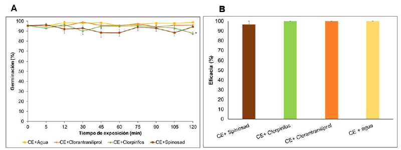 Efecto de los insecticidas sobre la germinación de los conidios de Bv062 (A) y sobre la actividad biológica frente a larvas de D. saccharalis (B).