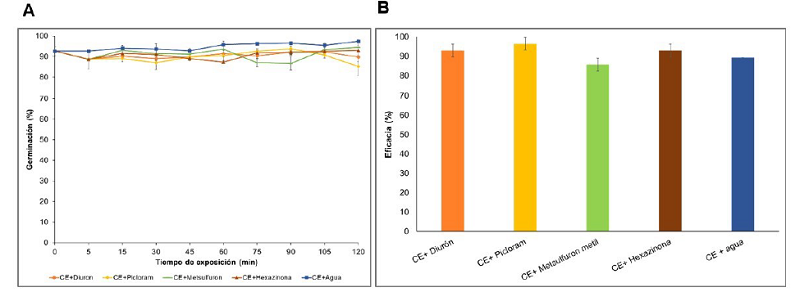 Efecto de los herbicidas sobre la germinación de los conidios de Bv062 (A) y sobre la actividad biológica frente a larvas de D. saccharalis (B).