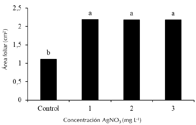 Efecto de la concentración de AgNO3 sobre el área foliar de las plantas in vitro de Anthurium magnificum Linden a los 60 días de cultivo.