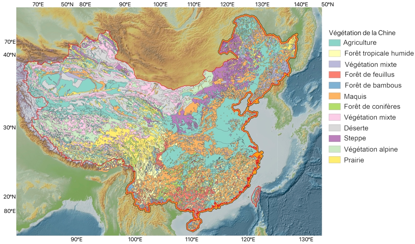 Végétation en Chine : types principaux