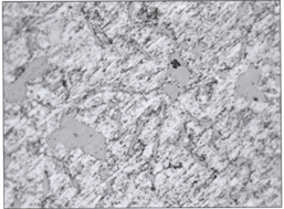 Microestructura de la cabeza del pist�n original magnificada a 500X, Nital al 4%, 40seg