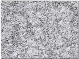 Microestructura de la falda del pist�n original magnificada a 500X, Nital al 4%, 40seg