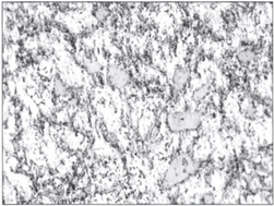 Microestructura de la falda del pist�n gen�rico magnificada a 500X, Nital al 4%, 40seg