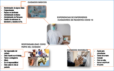 Estructuraci�n de las categor�as emergidas