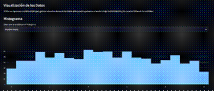 Estructuraci�n Histograma 