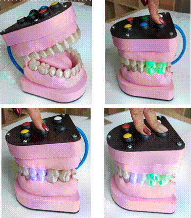 Modelo 3D fantoma odontol�gico.