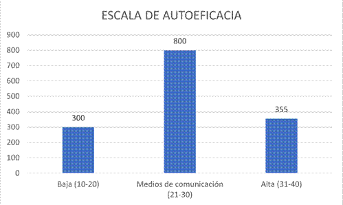 Escala de auto eficacia.