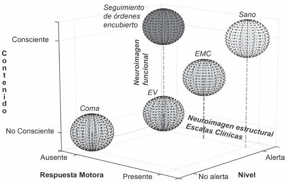 DIMENSIONES EN LA EVALUACIÓN DE LAS ALTERACIONES DE LA CONCIENCIA, Y TÉCNICAS
DE ELECCIÓN PARA EL DIAGNÓSTICO DIFERENCIAL EN CADA EJE