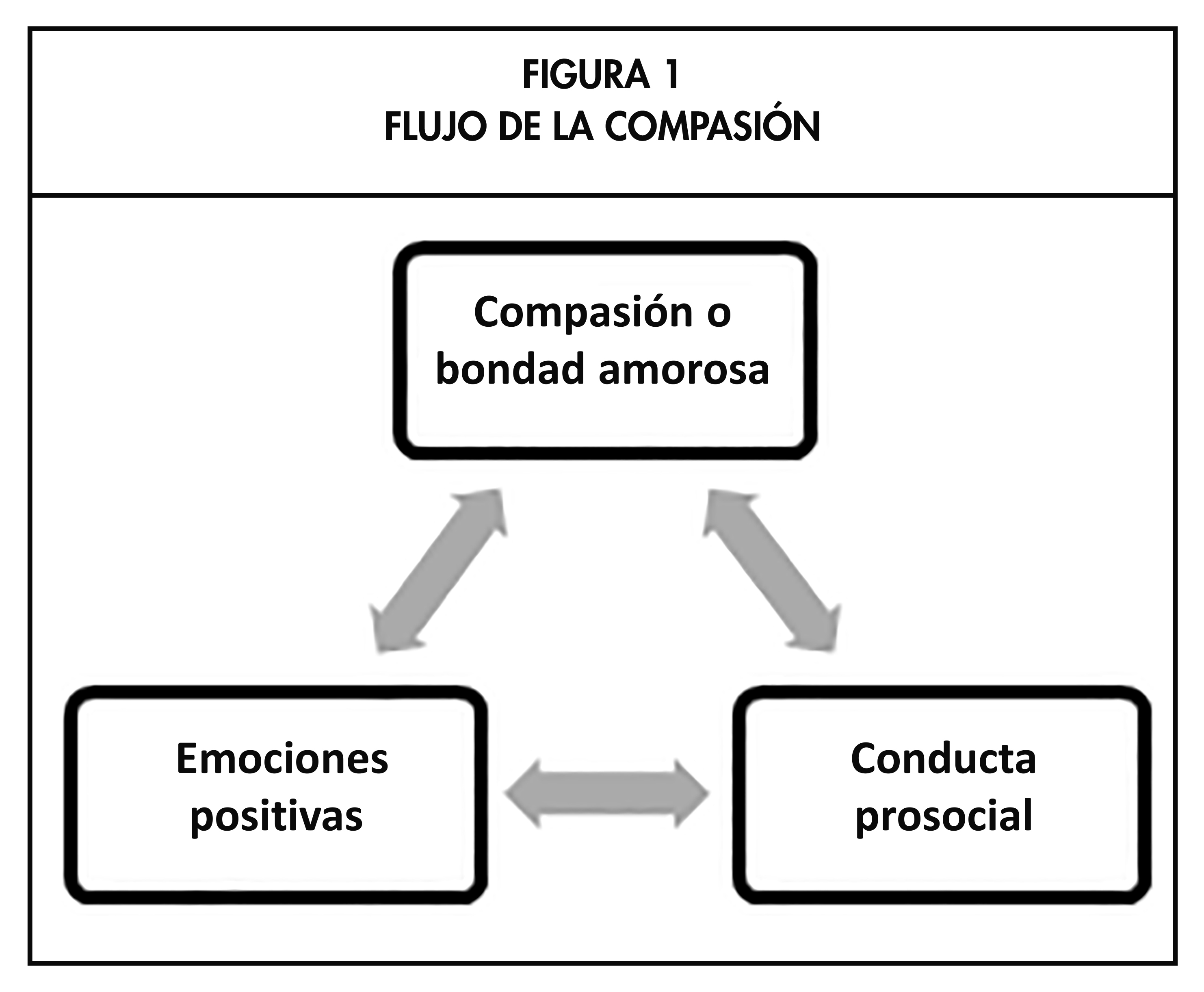 Figura 1