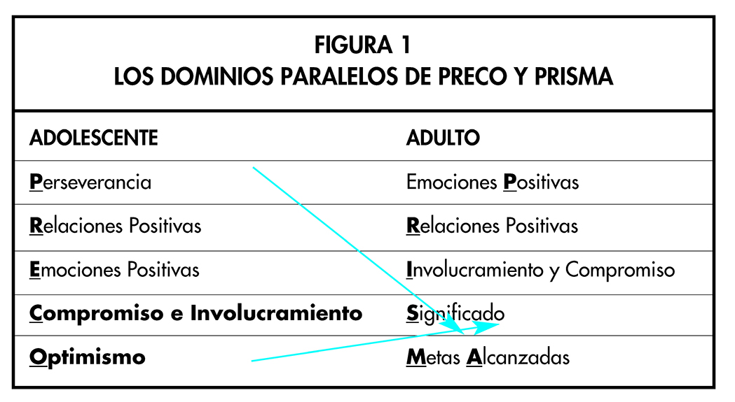 FIGURA 1. LOS DOMINIOS PARALELOS DE PRECO Y PRISMA
