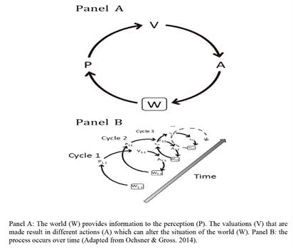 Perception-Valuation-Action Framework (PVA)