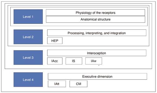 Multidimensional interoceptive model.