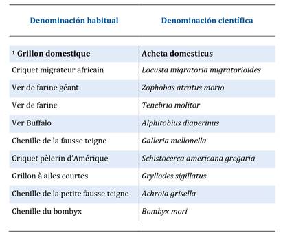 Modificada relativa a los insectos autorizados en Bélgica, disponible en la AFSCA 12.