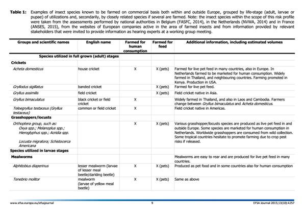 Insectos que se más se consumen fuera de la Unión Europea y que han sido objeto de estudio por parte de la EFSA