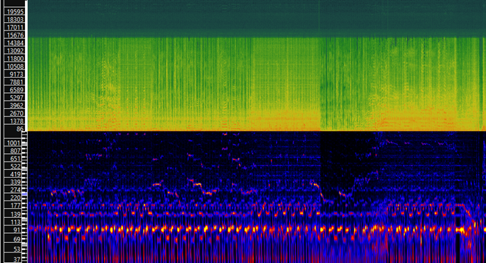 Espectrograma de �Paraguaya Punk�