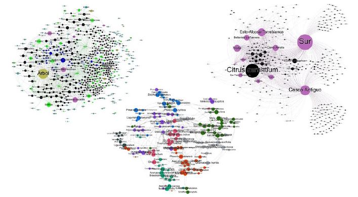 Diversas proyecciones o consultas de una misma red original (Proyecto Jard&iacute;n Cosmopolita)