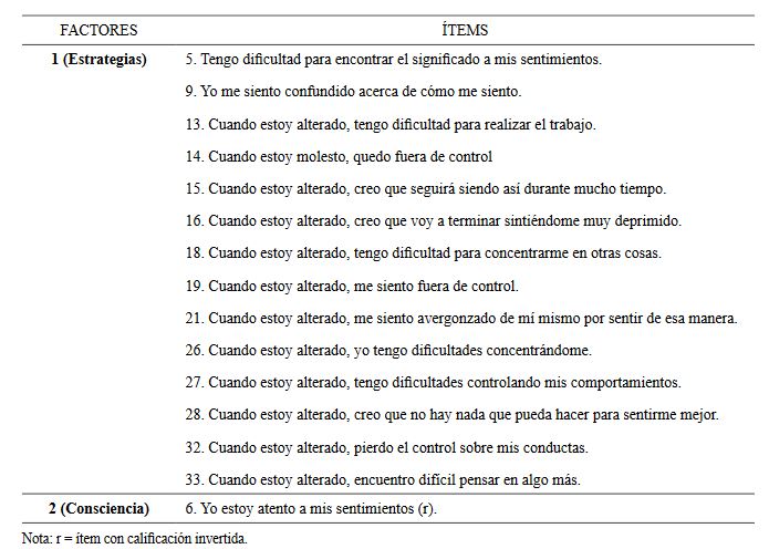 Formato final de la DERS
(Escala en español-colombiana)