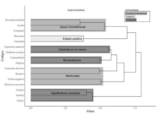 Dendrograma de los c&oacute;digos, subcategor&iacute;as y categor&iacute;as