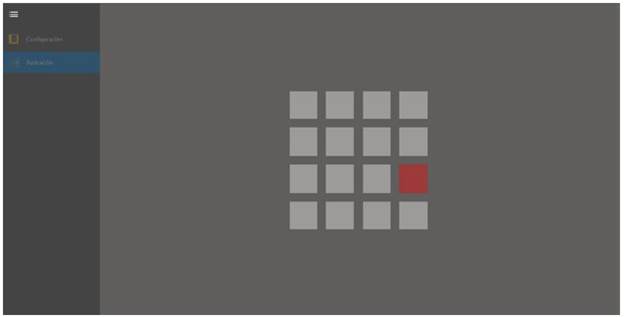 Computer screen during sequence presentation