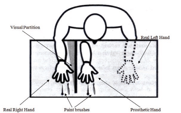 Rubber Hand Illusion - an overview