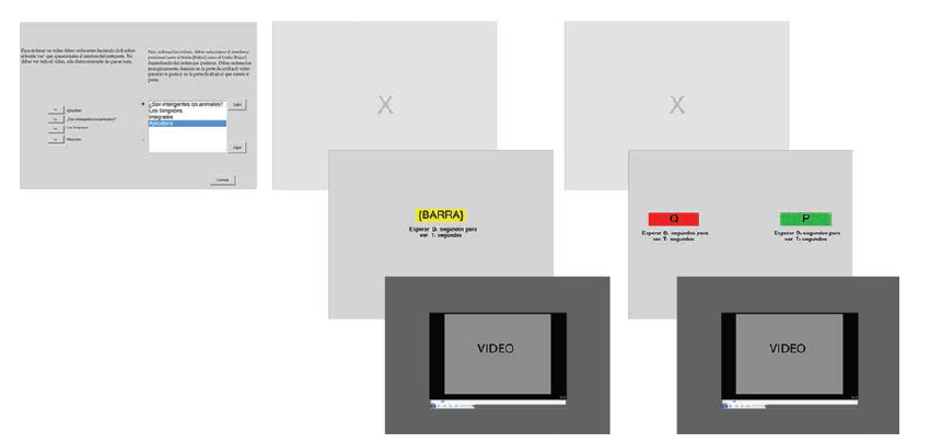 Descripci&oacute;n del procedimiento general y los bloques de
ensayos