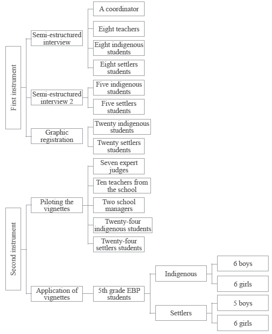Participant’s description classified by instruments