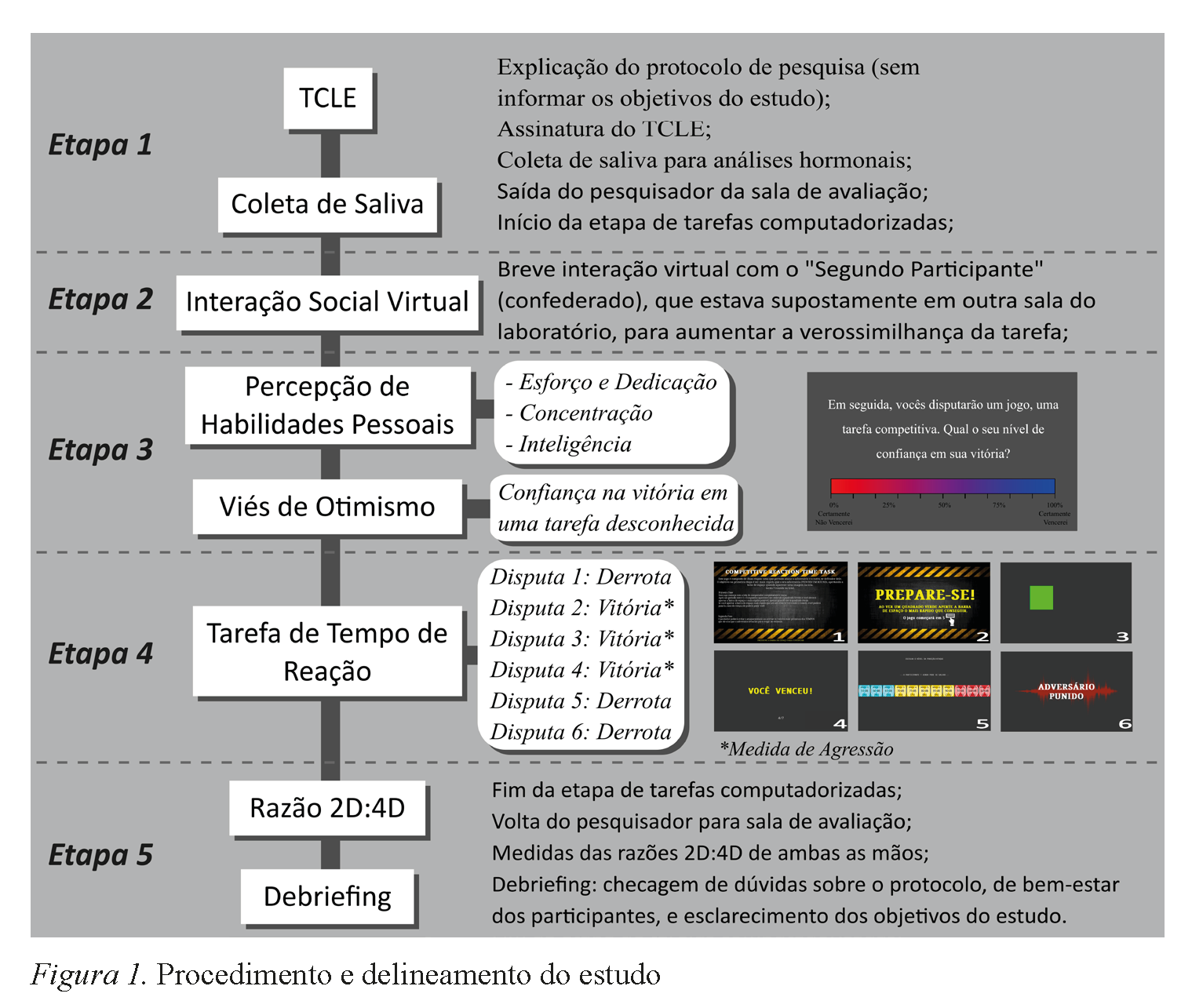 Procedimento e delineamento do estudo