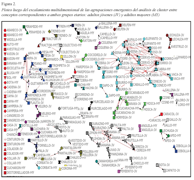 Ploteo luego del escalamiento multidimensional de las agrupaciones emergentes del an&aacute;lisis de cluster entre conceptos correspondientes a ambos grupos etarios: adultos j&oacute;venes (JV) y adultos mayores (MY)