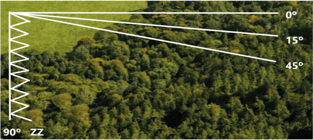 Trayectorias del m�vil (Caperucita Roja)