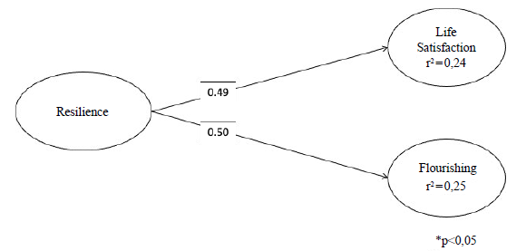Structural Equation Model. Association of University Students' Resilience with Life Satisfaction and Flourishing (n = 261)
