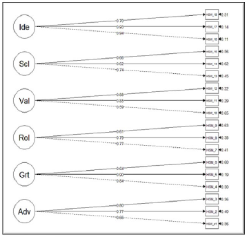Standardized solution of the HSM-Brazil six-factor model. Ide = Idea Shopping; Scl = Social Shopping; Val = Value Shopping; Rol = Role Shopping; Grt = Gratification Shopping; Adv = Adventure Shopping. All factors were correlated between them.