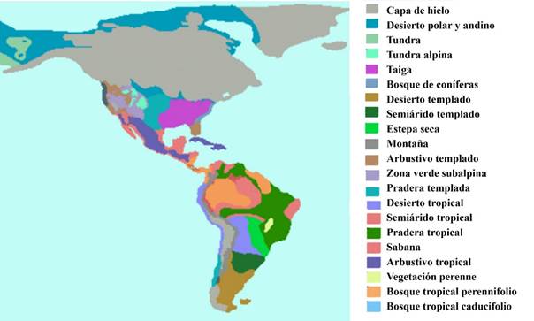 Biomas en el continente americano en la fase glaciar del Pleistoceno tard�o (imagen adaptada por Ra�l Valadez de https://es.wikipedia.org/wiki/Glaciaci%C3%B3n#/media/Archivo:Ultimo_m%C3%A1ximo_glacial.PNG)