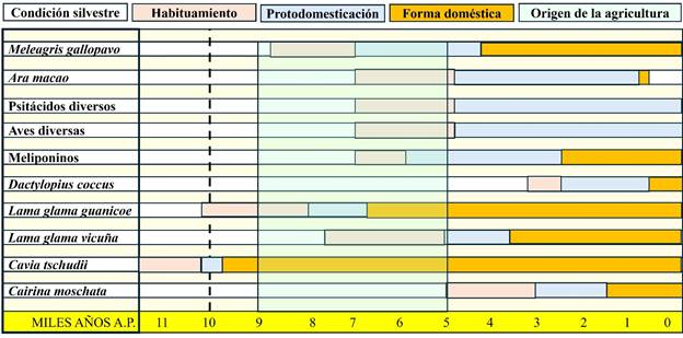 Fauna americana relacionada con la domesticaci�n. La l�nea punteada representa el final del Pleistoceno, momento a partir del cual tuvieron lugar cambios ambientales que promovieron modificaciones en los esquemas de vida humanos y de diversos animales que aprovechaban los beneficios que obten�an (figura elaborada por Ra�l Valadez)