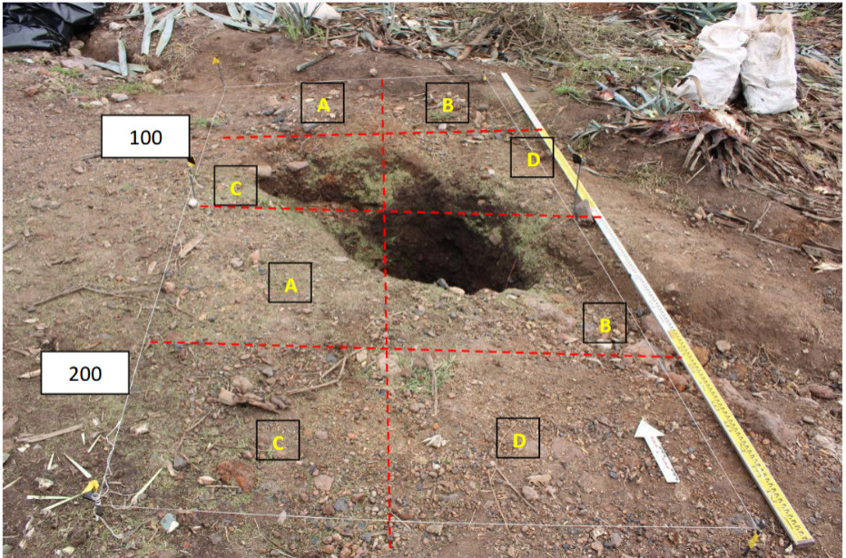 Ret�cula de excavaci�n del Elemento 21 (Axl Rosales Rodr�guez y Valeria Sauza N��ez)