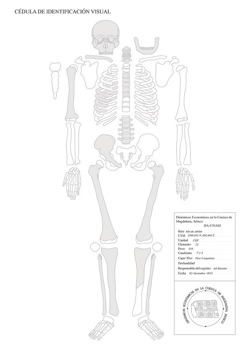 C�dula de identificaci�n visual de E23