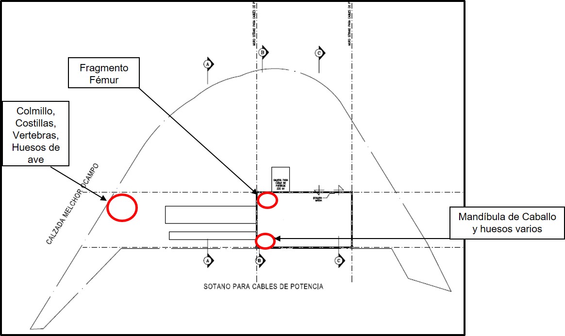 Ubicaci�n de las tres concentraciones dentro del Predio Diana (tomado y modificado de Mart�nez 2016).