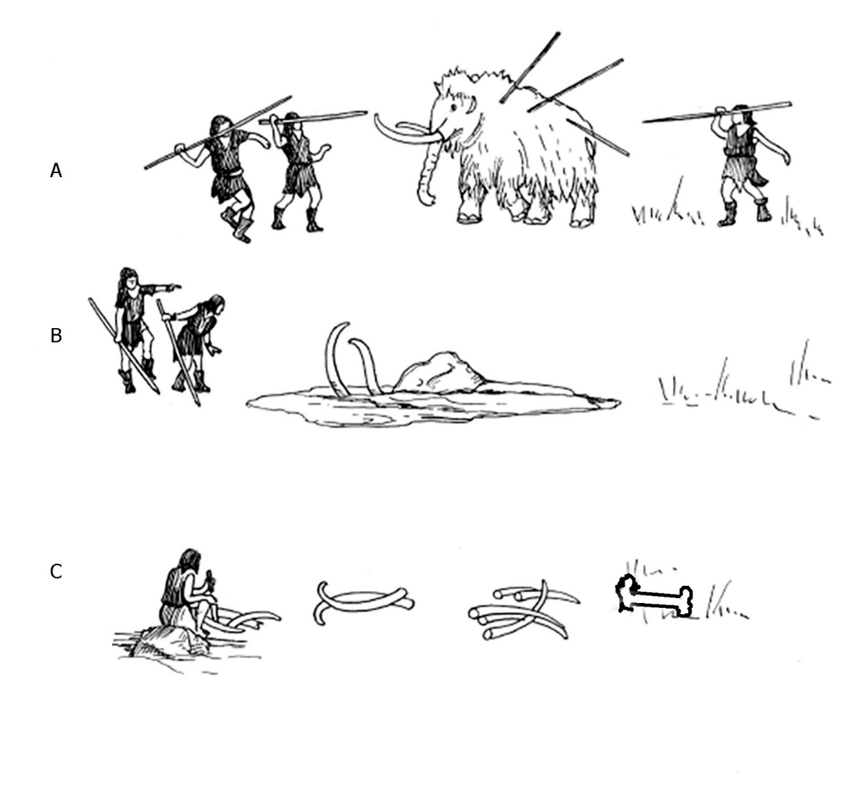 Proceso de cacer�a para el mamut, veas que pudiera ser organizada y colectiva (A) para llevar al probosc�deo a la orilla de un pantano o la playa como ocurri� en el Predio Diana en la Cuenca de M�xico (b) y posteriormente los cazadores-recolectores se aprovisionaban de materias primas (C) y alimento (modificado de Pitulko, 2015).  