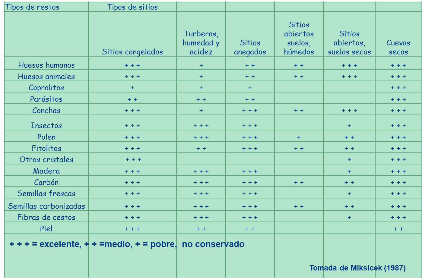 Conservaci�n diferencial de restos de origen biol�gico (tomada de Micsicek, 1987)