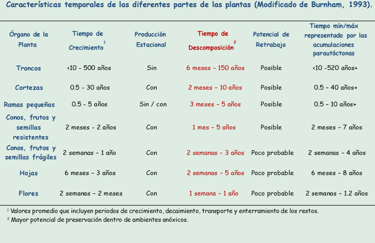 Caracter�sticas temporales de las diferentes partes de una planta (tomada de Serrano-Bra�as y Reyes-Luna, 2014)