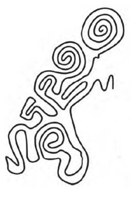 Espiral compleja del sitio Presa de la Luz (Esparza y Rodr�guez, 2016: 72)