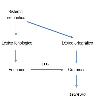 Modelo de las dos v&iacute;as para la escritura. Tomado de Cuetos (2009).