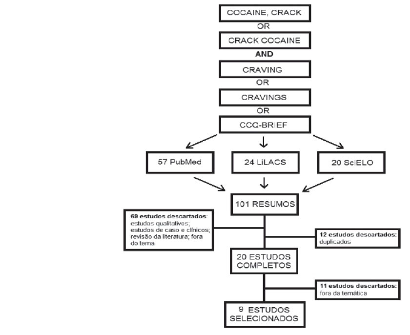 Trajectory of systematic literature review. Pelotas, RS, Brazil, 2015
