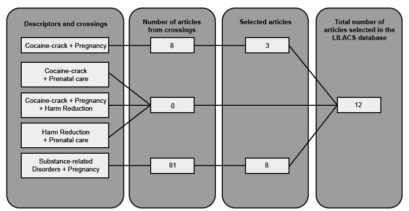 Selection of articles in the LILACS database